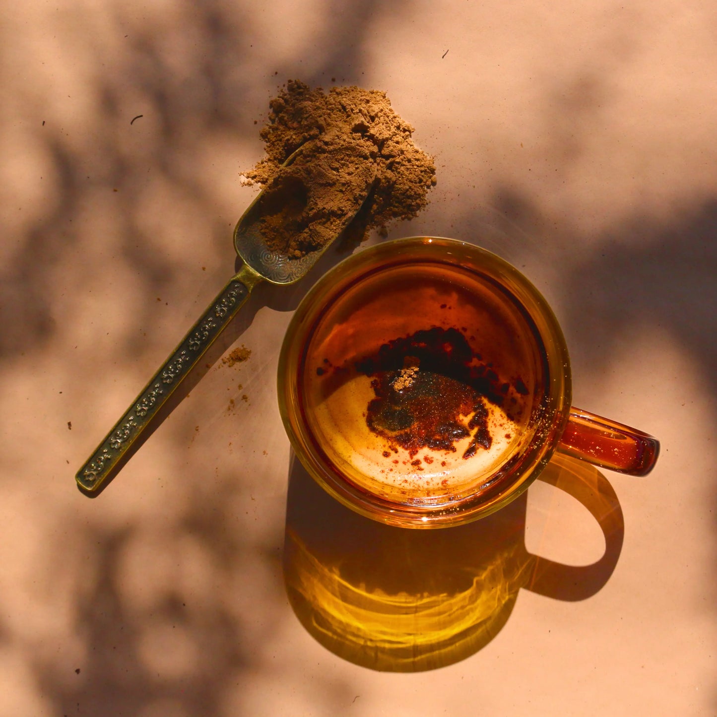 A cup of brewed Earth Brew with a rich, earthy color next to a golden spoon of the mushroom powder, with shadows dancing over the scene, highlighting the organic ingredients and morning coffee alternative.