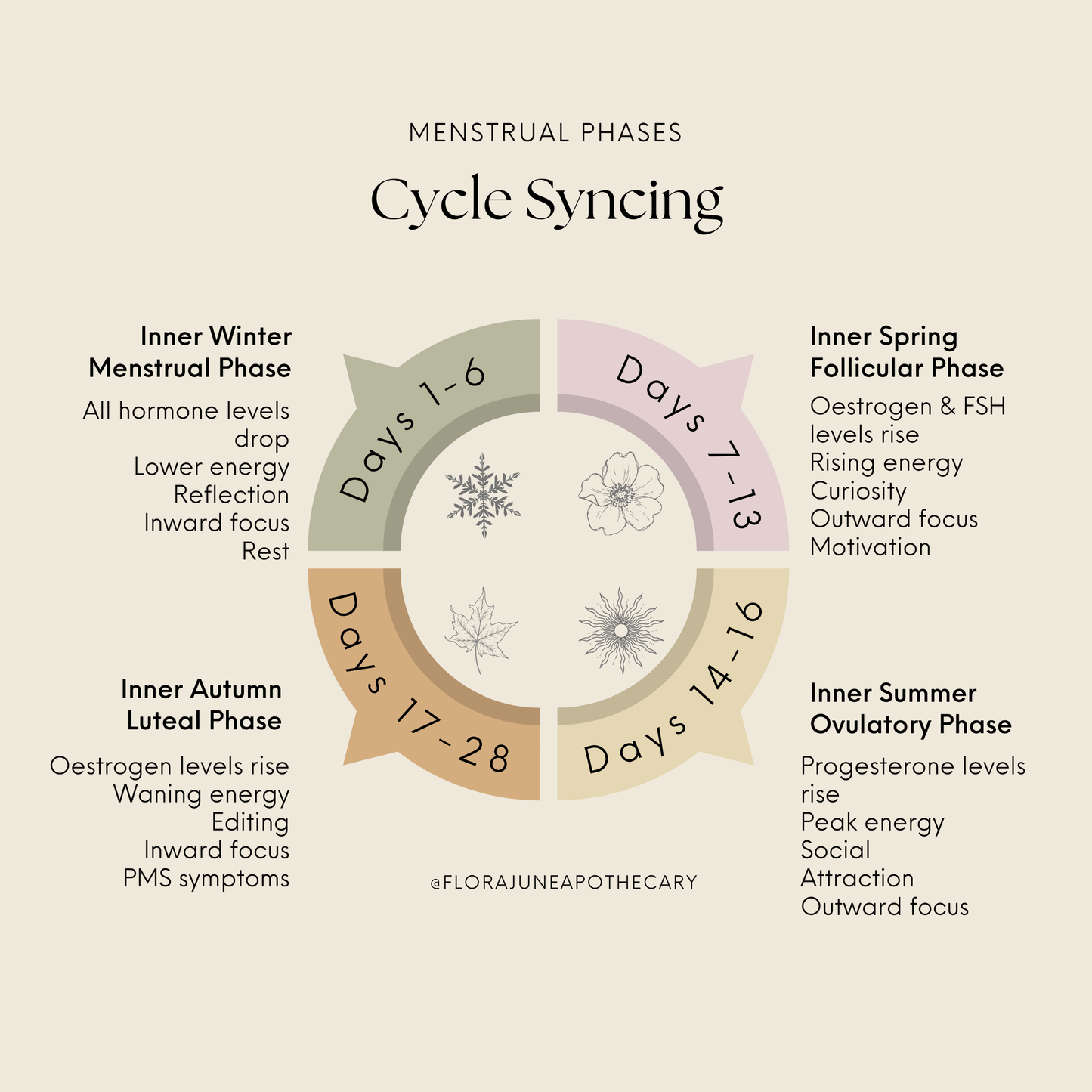 Cycle Syncing Bundle