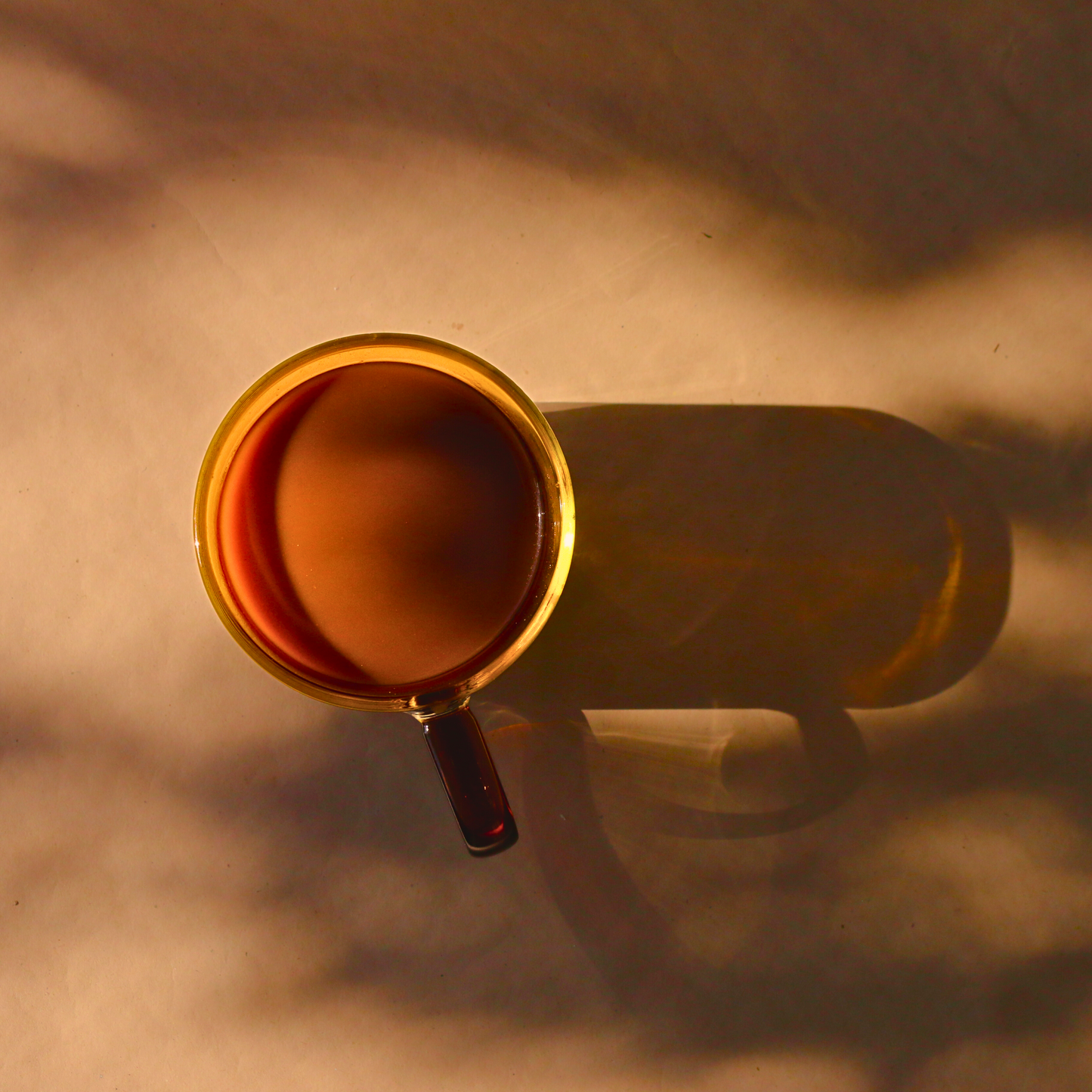 An amber glass mug filled with a brew of Flora & June's Lust Latte chocolate mix, basking in the morning sun under dappled shadows.